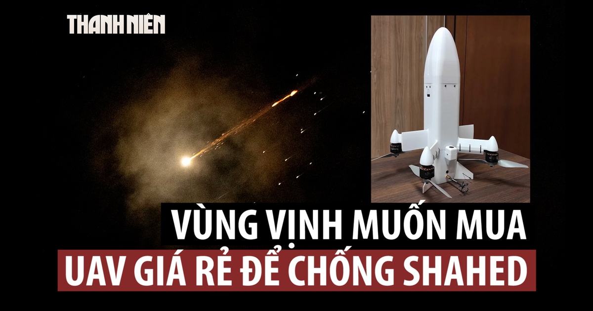 Các nước giàu vùng Vịnh muốn có UAV giá rẻ để chặn bầy Shahed của Iran