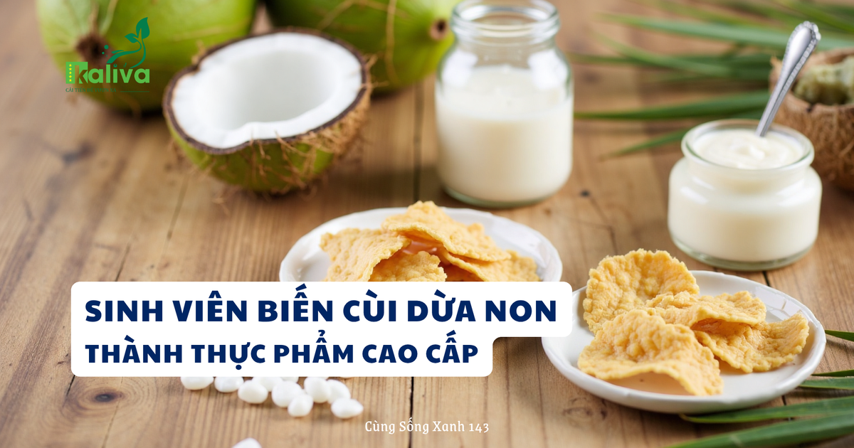 Cùng sống xanh số 143: Giúp doanh nghiệp tận dụng cùi dừa non, nhóm sinh viên giành giải nhất cuộc thi FID 2025