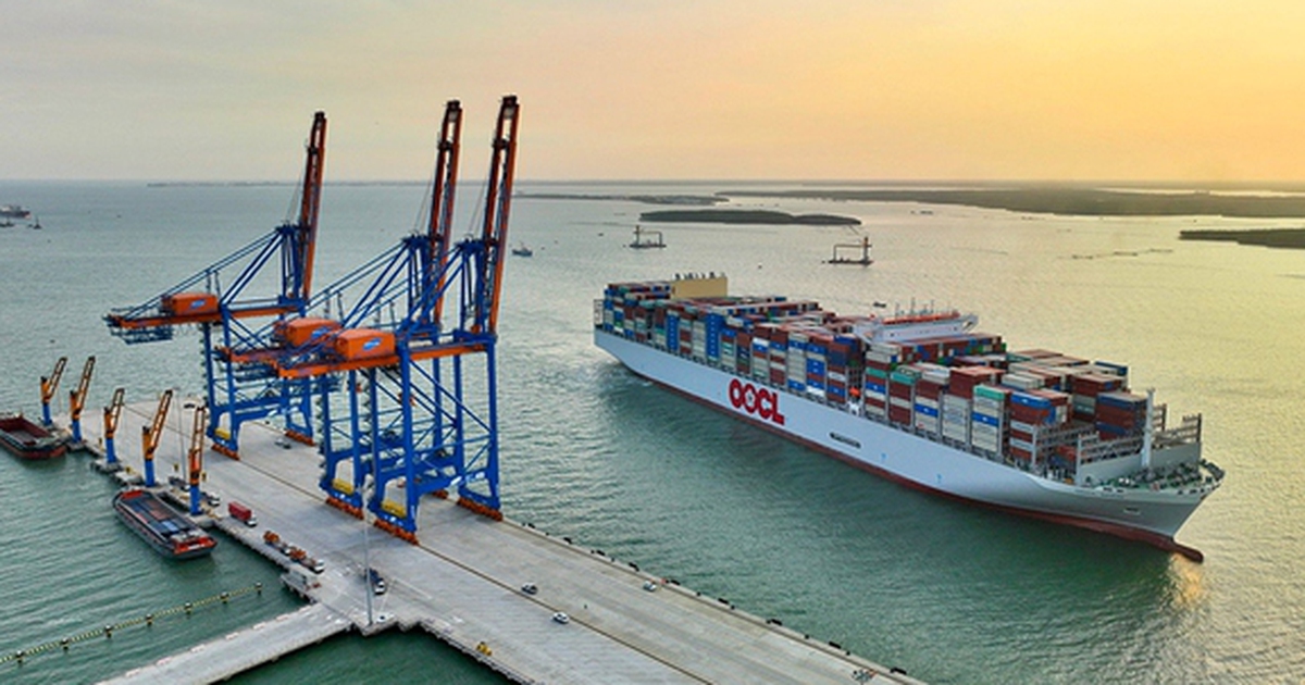 TP.HCM tính miễn thu phí hạ tầng cảng biển 3 năm, làm ngay từ tháng 4