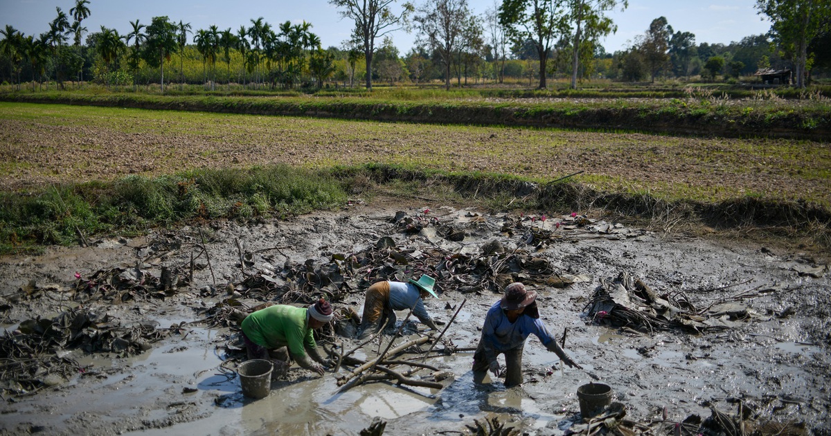 Th&aacute;i Lan tăng tiền trợ cấp cho hơn 13 triệu d&acirc;n