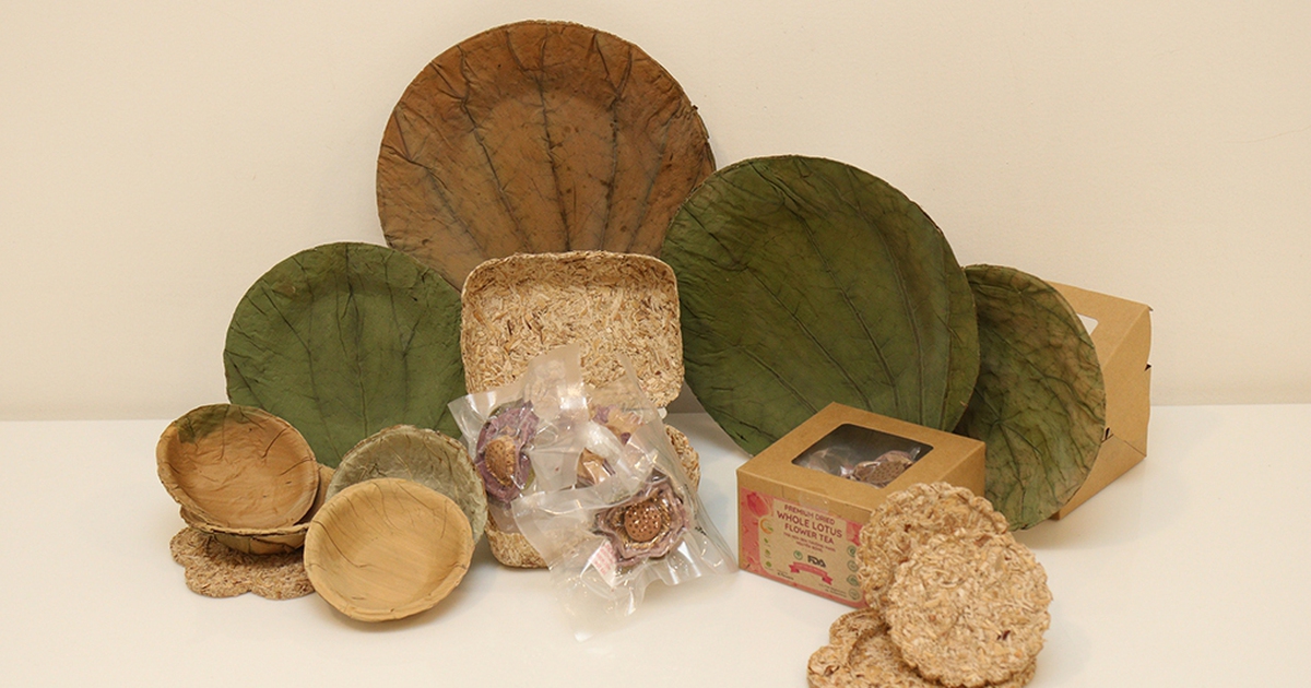 Bao bì sinh học từ lục bình: Giải pháp khởi nghiệp của nhóm sinh viên Cần Thơ