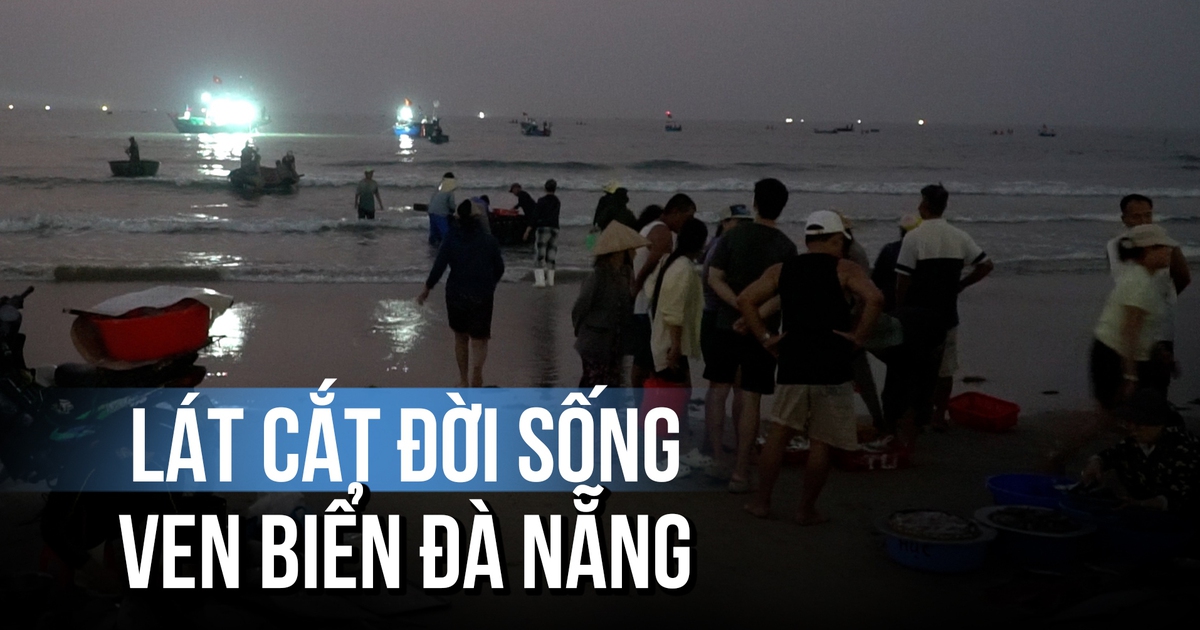 Chợ tan khi mặt trời lên: Một lát cắt đời sống ven biển Đà Nẵng