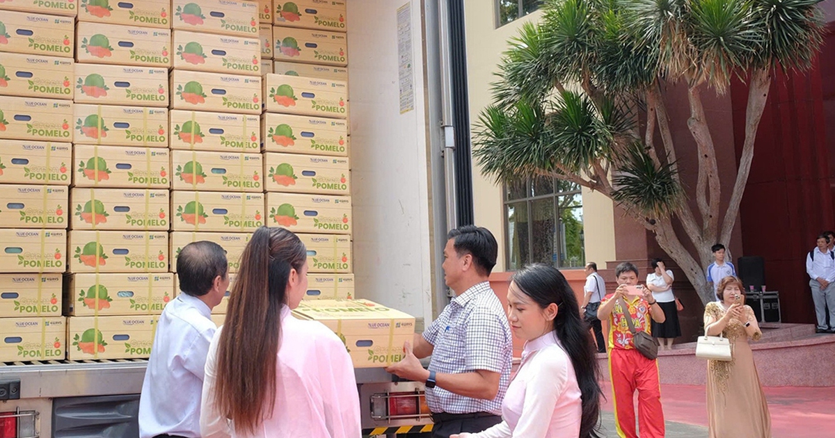 Thị trường Úc đón nhận bưởi Việt Nam