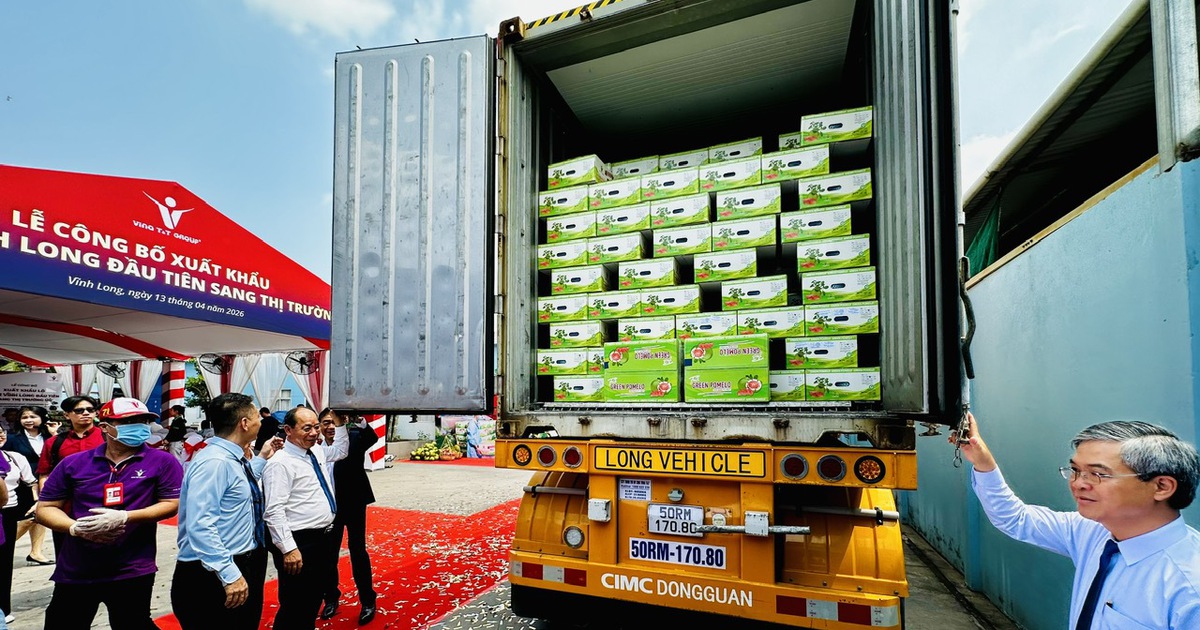 Chính thức bán bưởi da xanh Vĩnh Long vào thị trường Úc