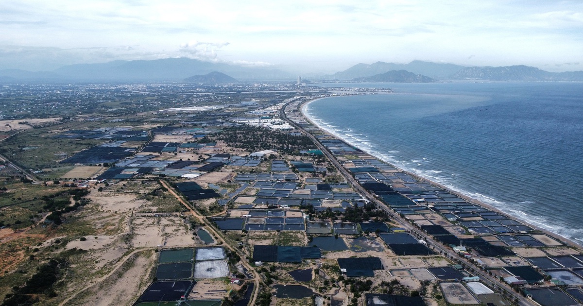 Khánh Hòa bàn giao mặt bằng 2 dự án điện hạt nhân trước ngày 30.6