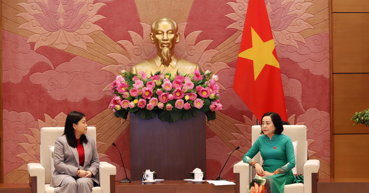 Phó chủ tịch Quốc hội tiếp xã giao Hội đồng Giao lưu chính trị Úc