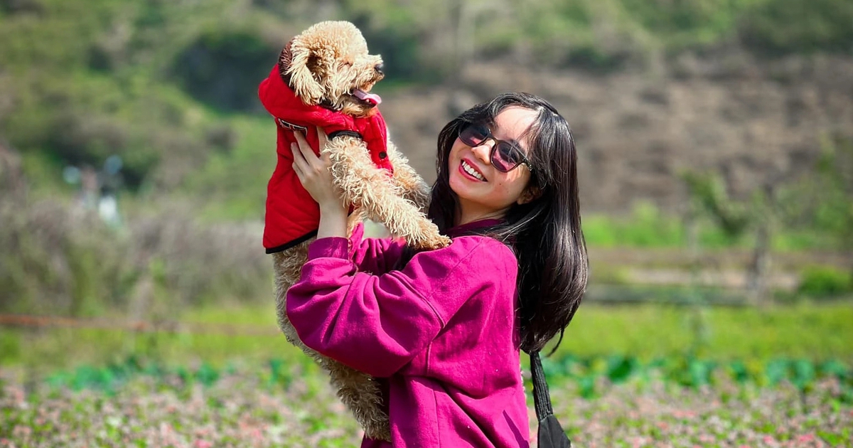 Chi tiền triệu nuôi thú cưng: Người yêu chưa có, nhưng chó, mèo phải có một con
