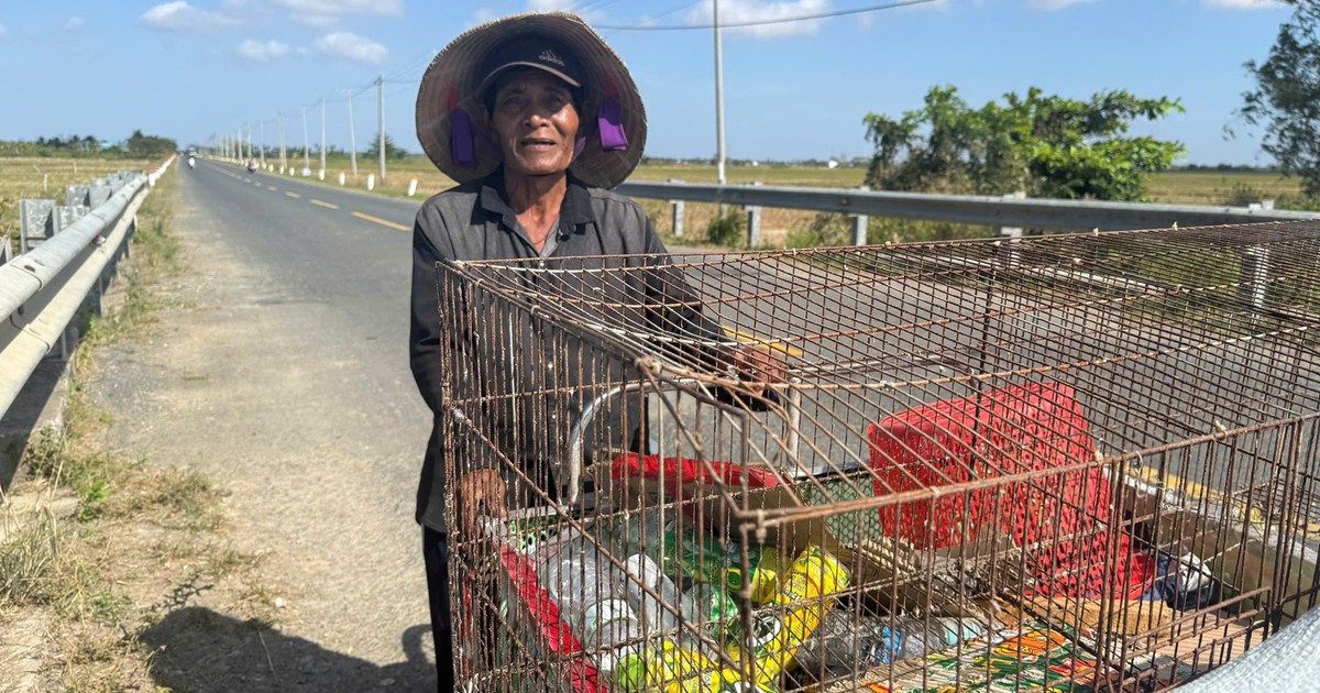 Cụ ông nhặt ve chai nuôi cả gia đình bệnh tật