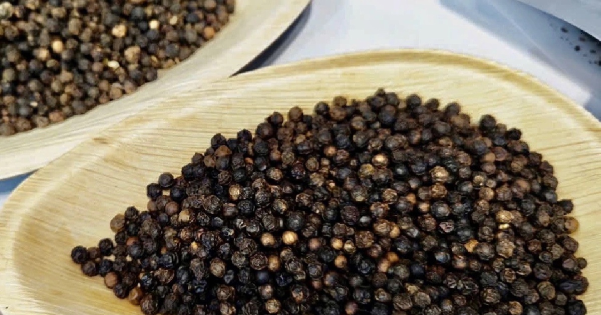 Xuất 20 container hồ tiêu doanh nghiệp thiệt hại 600.000 USD, vì sao?