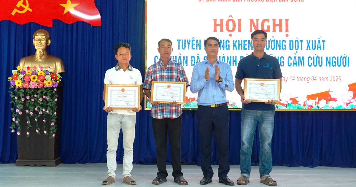 Cứu sống 13 du khách đuối nước, 3 người ở Đà Nẵng được khen thưởng