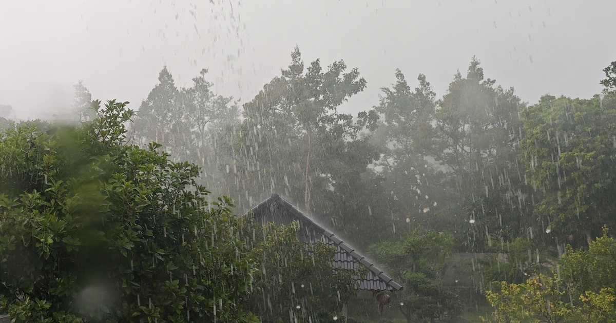 Chiều nay, mưa vàng giải nhiệt xuất hiện nhiều nơi