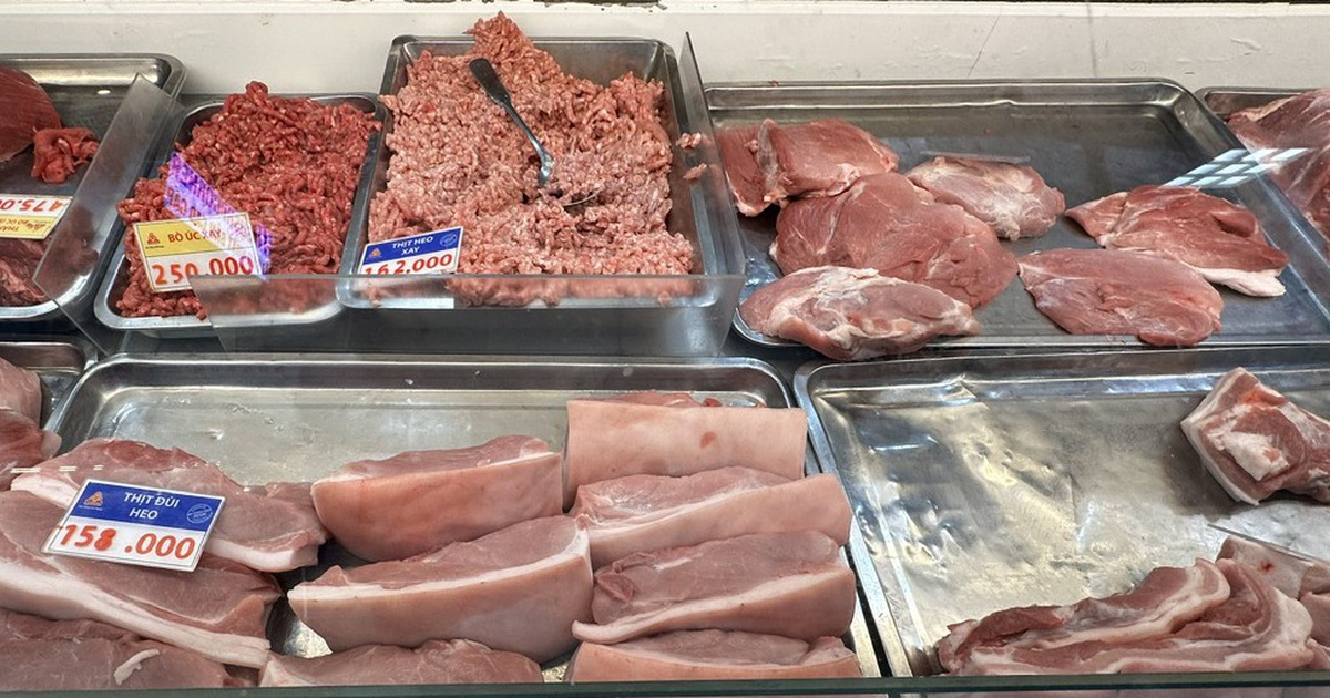 Giá heo hơi hôm nay 15.4.2026: Tiếp tục tăng nhẹ