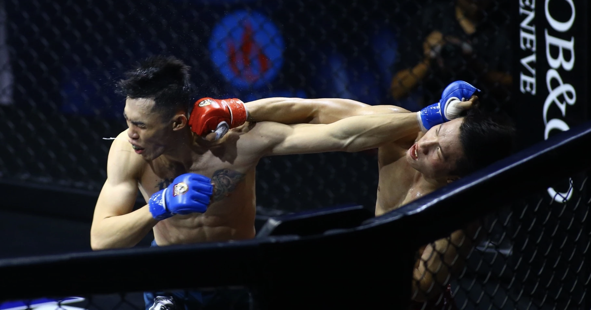 Cảnh báo nóng về website cá cược trái phép liên quan MMA tại Việt Nam