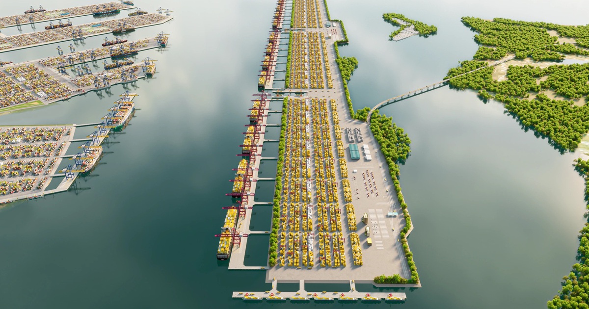 "Ông lớn" hàng hải góp vốn đầu tư siêu cảng Cần Giờ