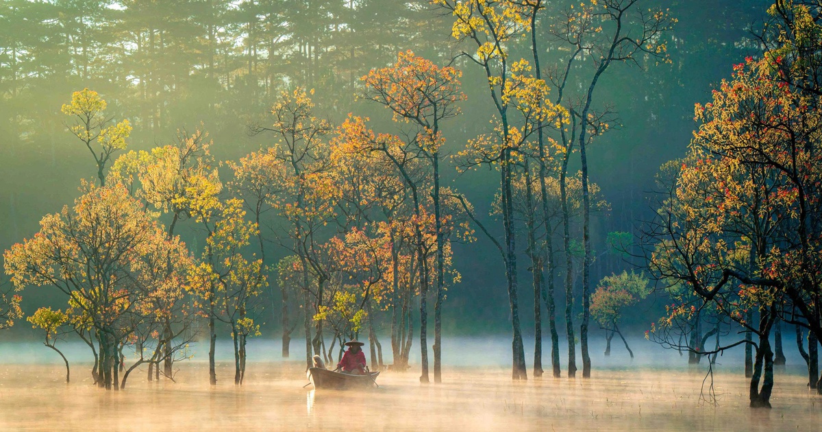 Việt Nam vào top 5 điểm đến tốt nhất cho nữ du khách độc hành