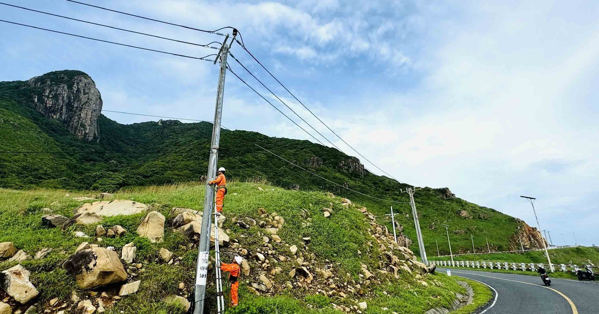 Những chú ong áo vàng cam chăm chỉ