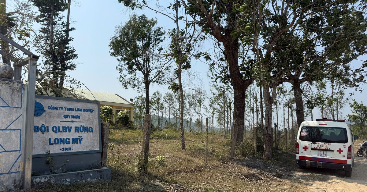 Ong tấn c&ocirc;ng tổ kiểm tra rừng, 1 người tử vong, 4 người cấp cứu