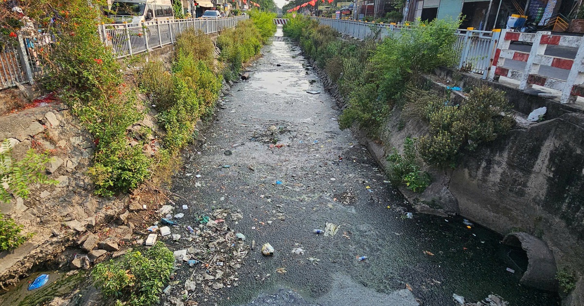 Kênh 19 Tháng 5 ô nhiễm nghiêm trọng: Sở Xây dựng TP.HCM nói gì về giải pháp?