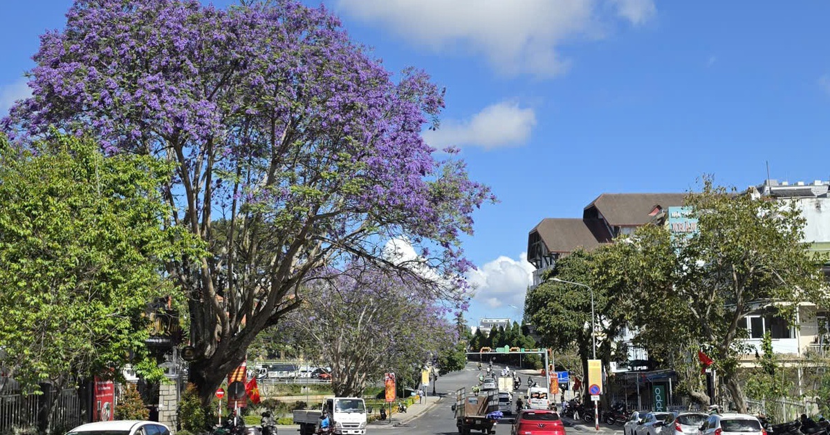 Cảnh giác bẫy 'sở hữu kỳ nghỉ' khi mùa du lịch hè đến gần