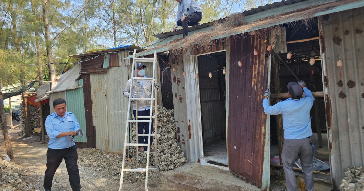 TP.HCM: Khu đất công 5,3 ha bị chiếm, phân lô bán giấy tay, xây nhà trái phép