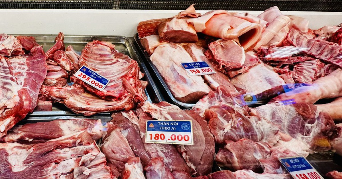 Giá heo hơi hôm nay 18.4.2026: Thị trường đang ấm lên