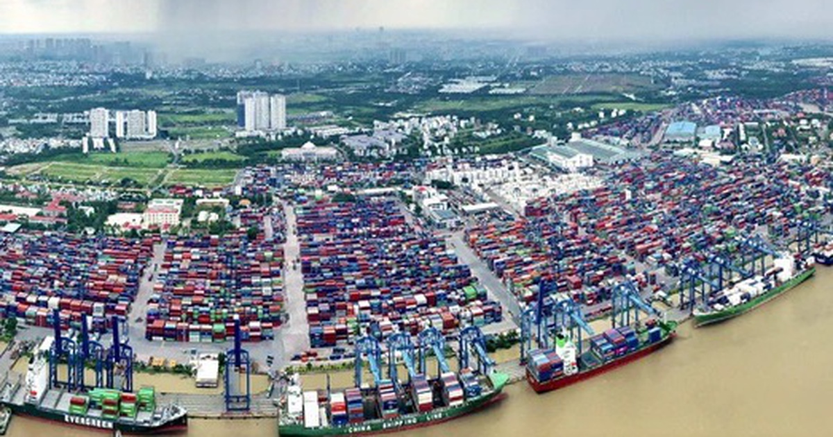 Doanh nghiệp phường Cát Lái đón 'cơ hội vàng' từ cảng nội địa top 20 thế giới