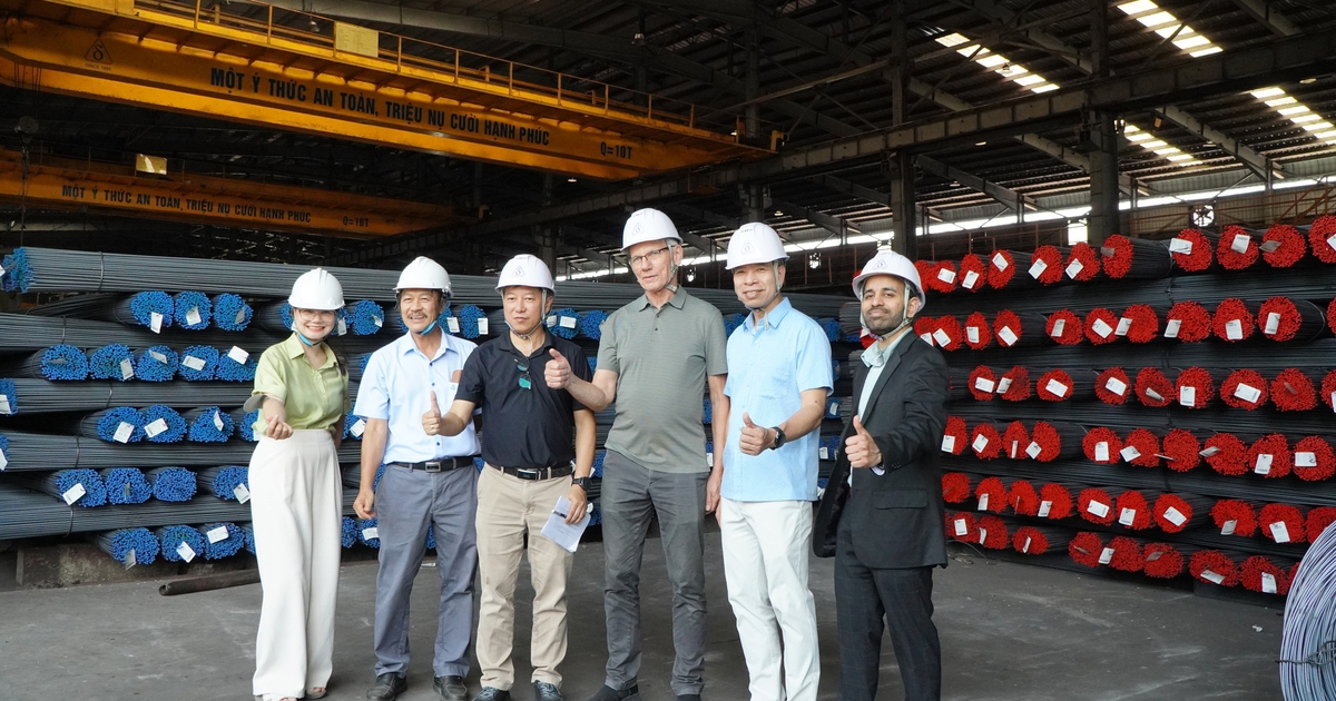 Chuyên gia Việt Nam và Đan Mạch thúc đẩy năng lượng hiệu quả và tiết kiệm