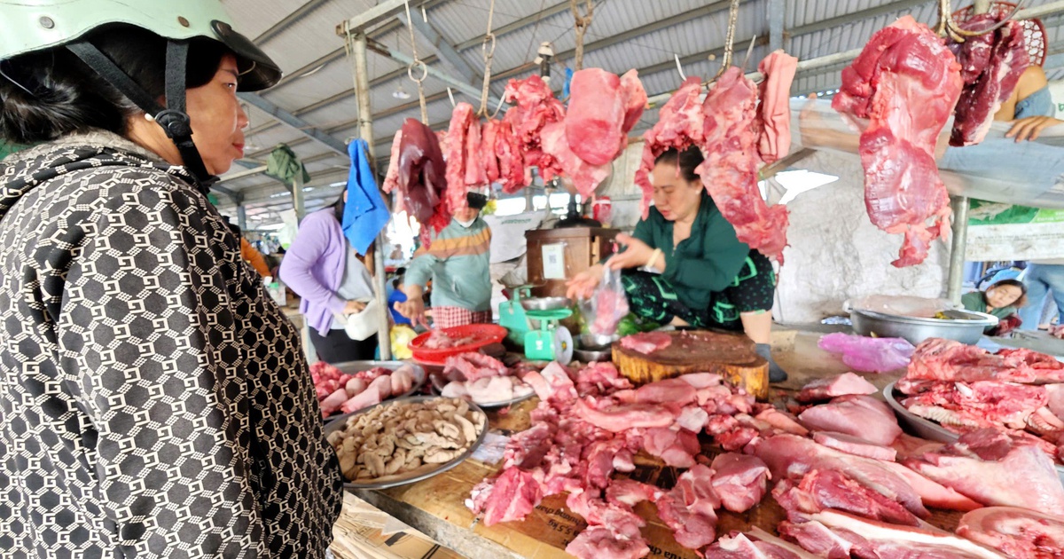 Giá heo hơi hôm nay 17.4.2026: Đồng loạt chững lại