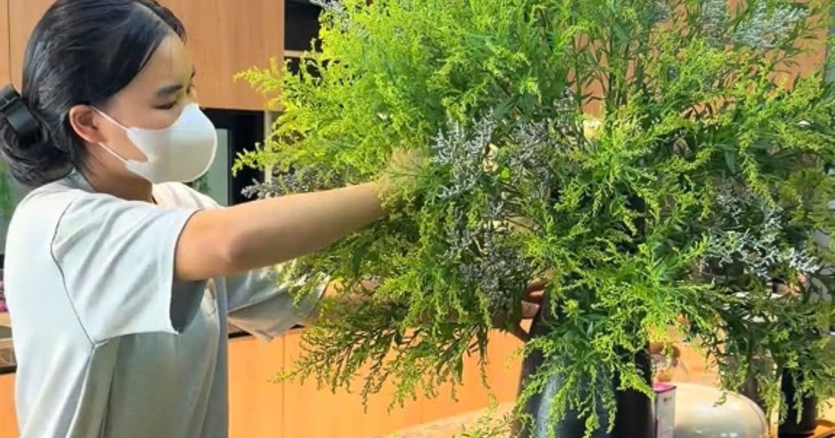 Cô gái gen Z làm giúp việc, đặt mục tiêu kiếm 1 tỉ trước 25 tuổi