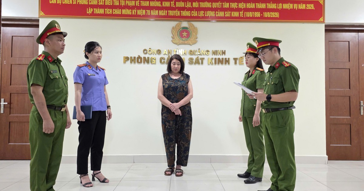 Khởi tố 2 bị can dùng chất cấm sản xuất giá đỗ ở Quảng Ninh