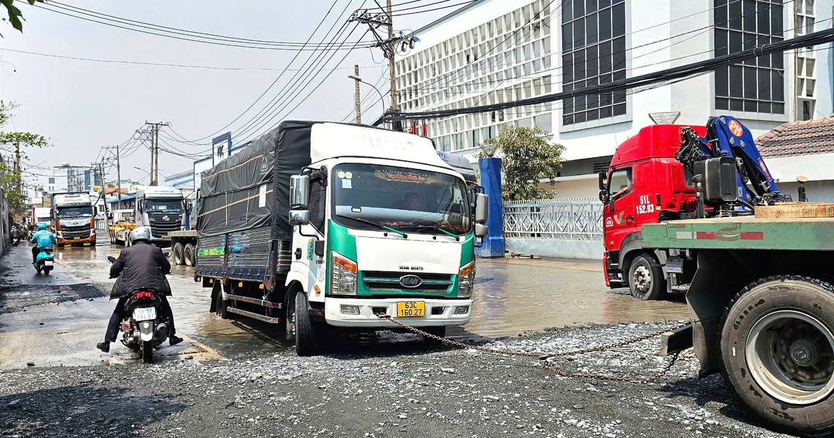 Đường vào cảng Tân Thuận xuống cấp, TP.HCM yêu cầu sửa gấp