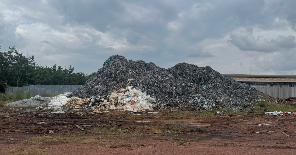 Đồng Nai: Khởi tố 2 bị can đổ chất thải da bò gây ô nhiễm môi trường