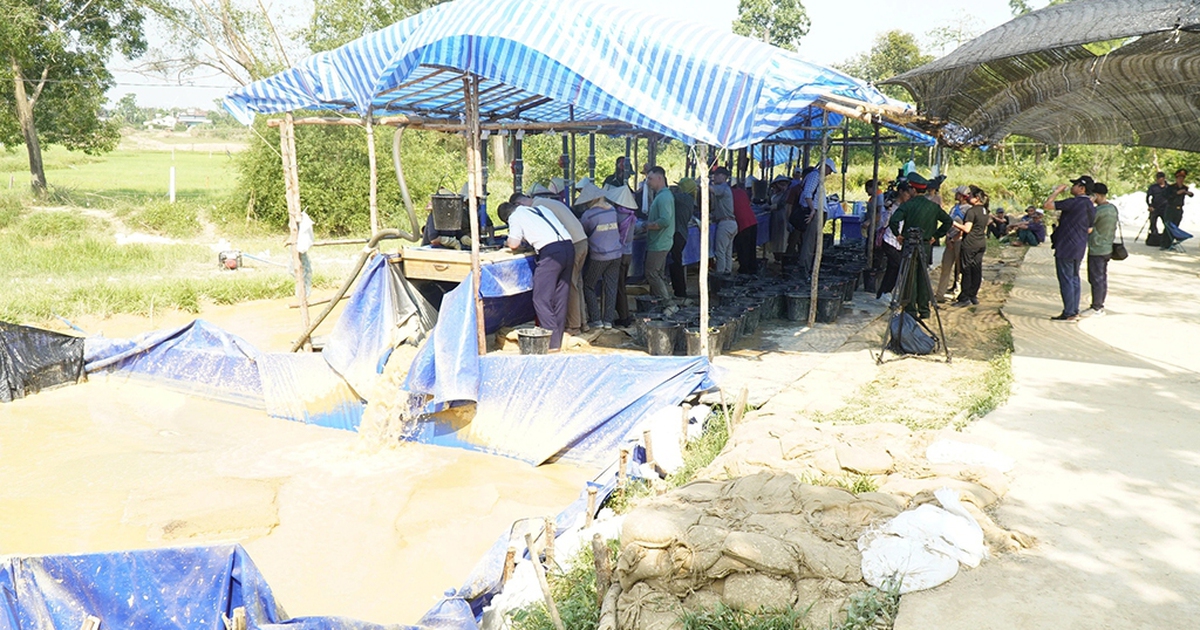 Tìm người từng ở bên kia chiến tuyến: 'Chúng ta sẽ chưa dừng lại!'