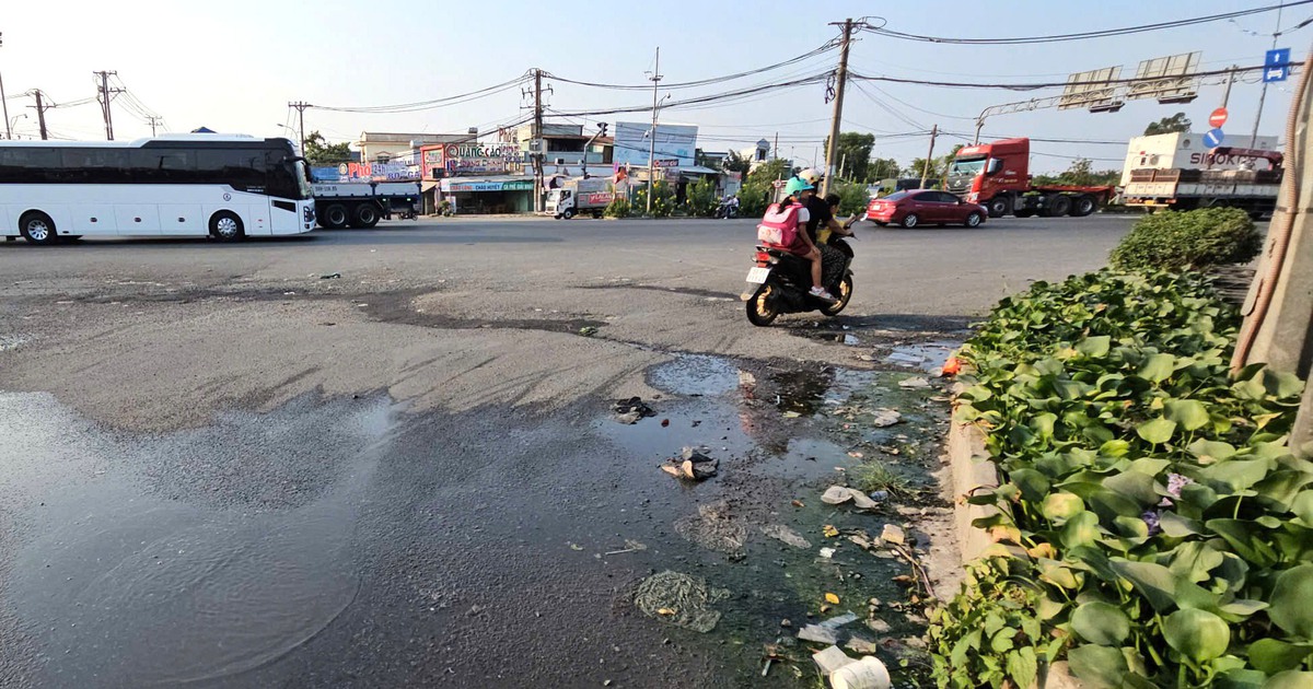 Nước thải bủa v&acirc;y giao lộ ở TP.HCM, đường vừa sửa đ&atilde; bong tr&oacute;c