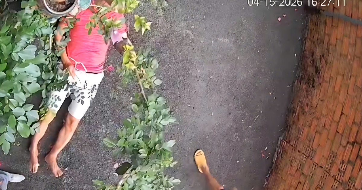 Mâu thuẫn lối đi chung, dùng gốc cây đánh hàng xóm bị thương