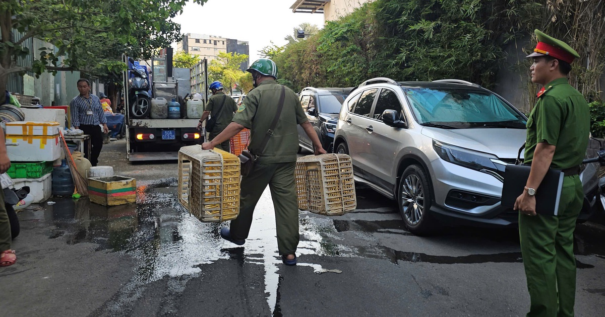 Người dân TP.HCM bức xúc vì mùi hôi từ điểm bán gia cầm, phường ra quân xử lý