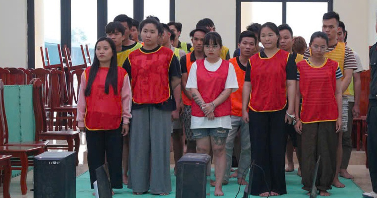 'Bẫy tiêm chủng' lừa đảo 5.000 người xuyên quốc gia hoạt động như thế nào?