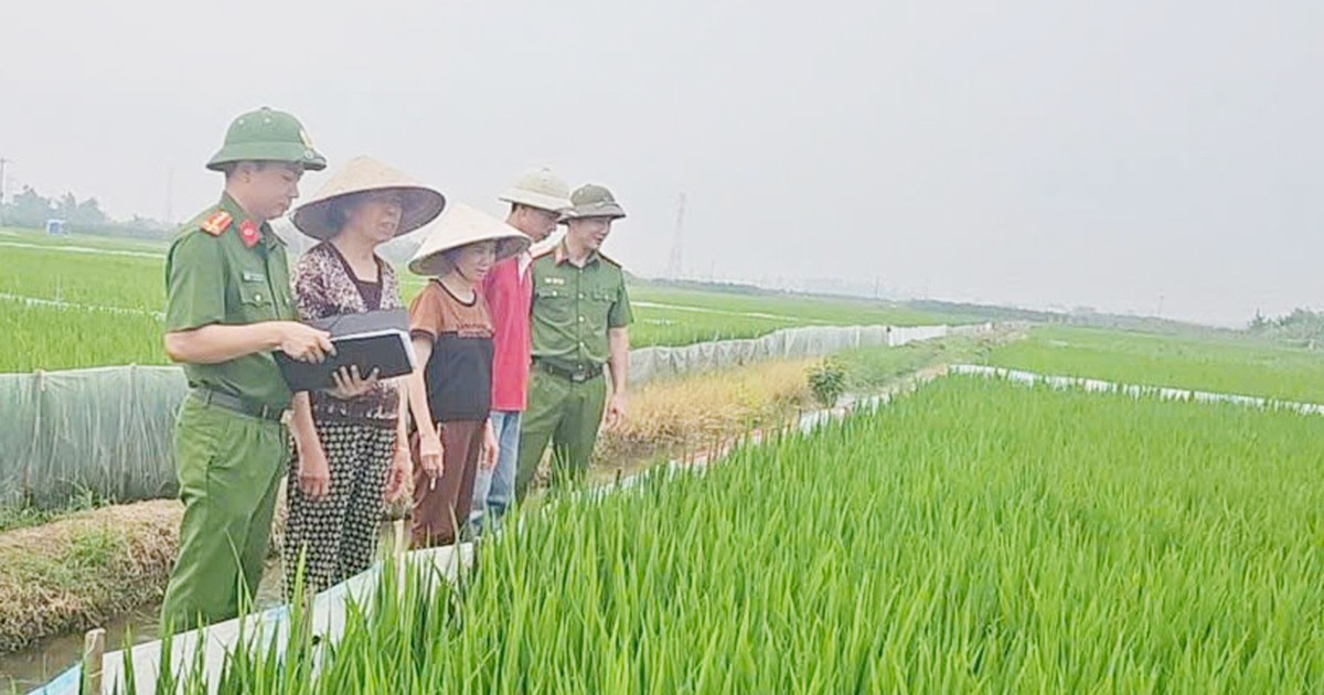 Hải Phòng: Lại xảy ra tai nạn chết người do dùng điện bẫy chuột