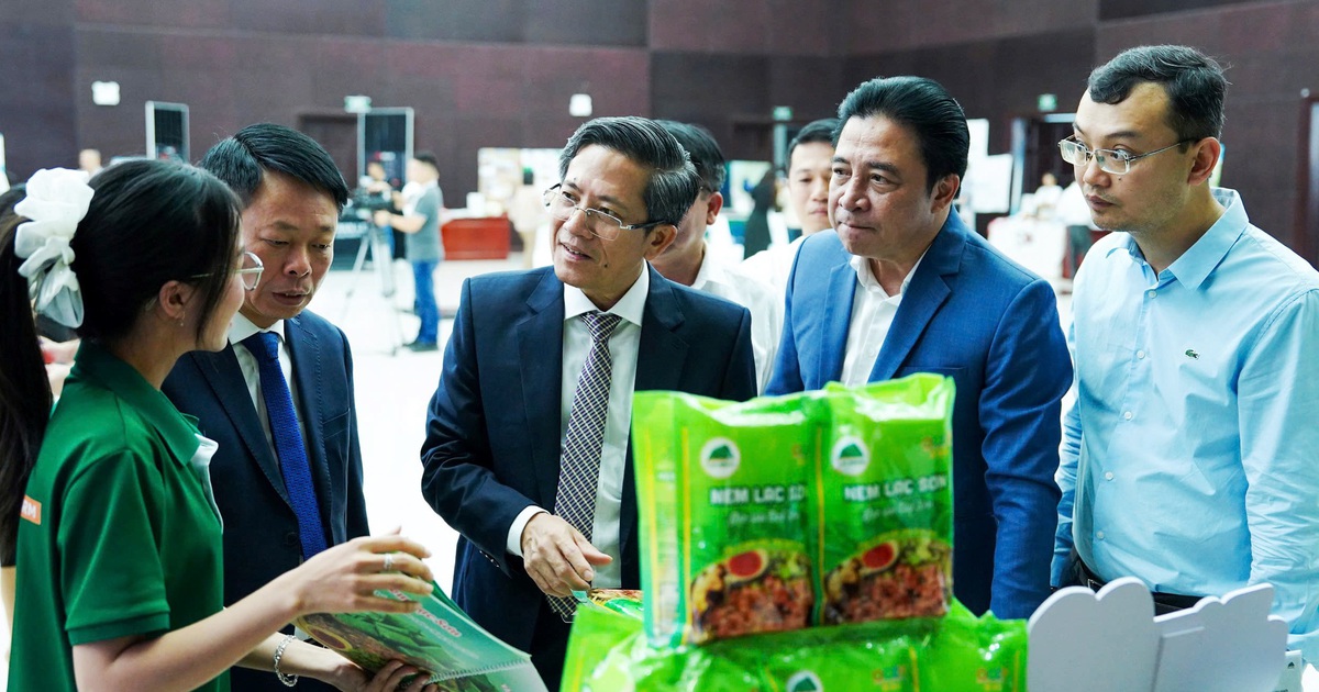 'Hạ tầng cảnh quan mềm' là chìa khóa cho chuyển đổi xanh bền vững Đà Nẵng