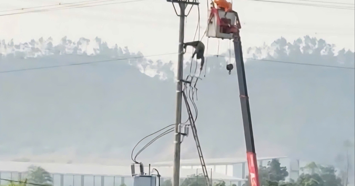 Nam sinh lớp 8 tử vong trên cột điện