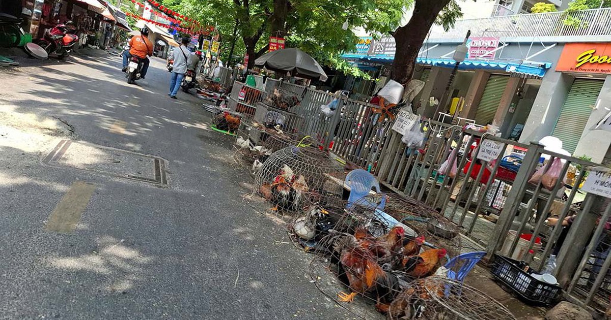 Buôn bán chiếm vỉa hè, lòng đường