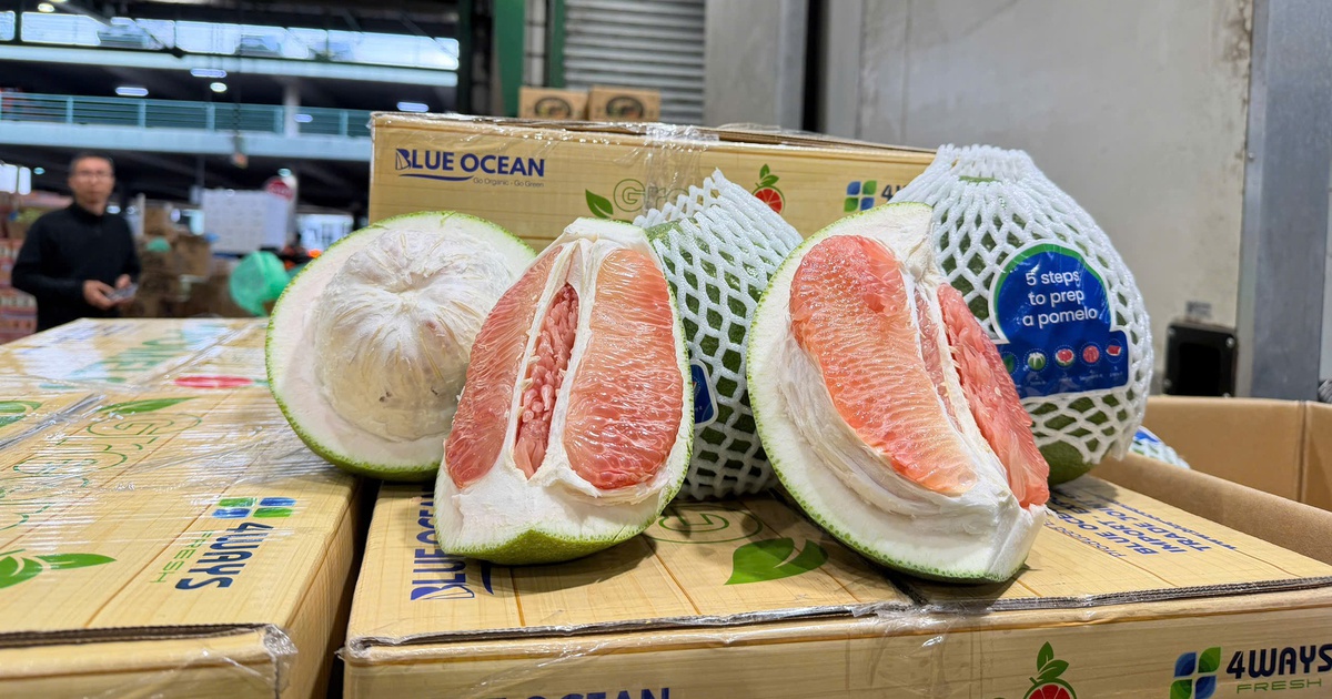 Bưởi Việt Nam chính thức 'lên kệ' tại Úc