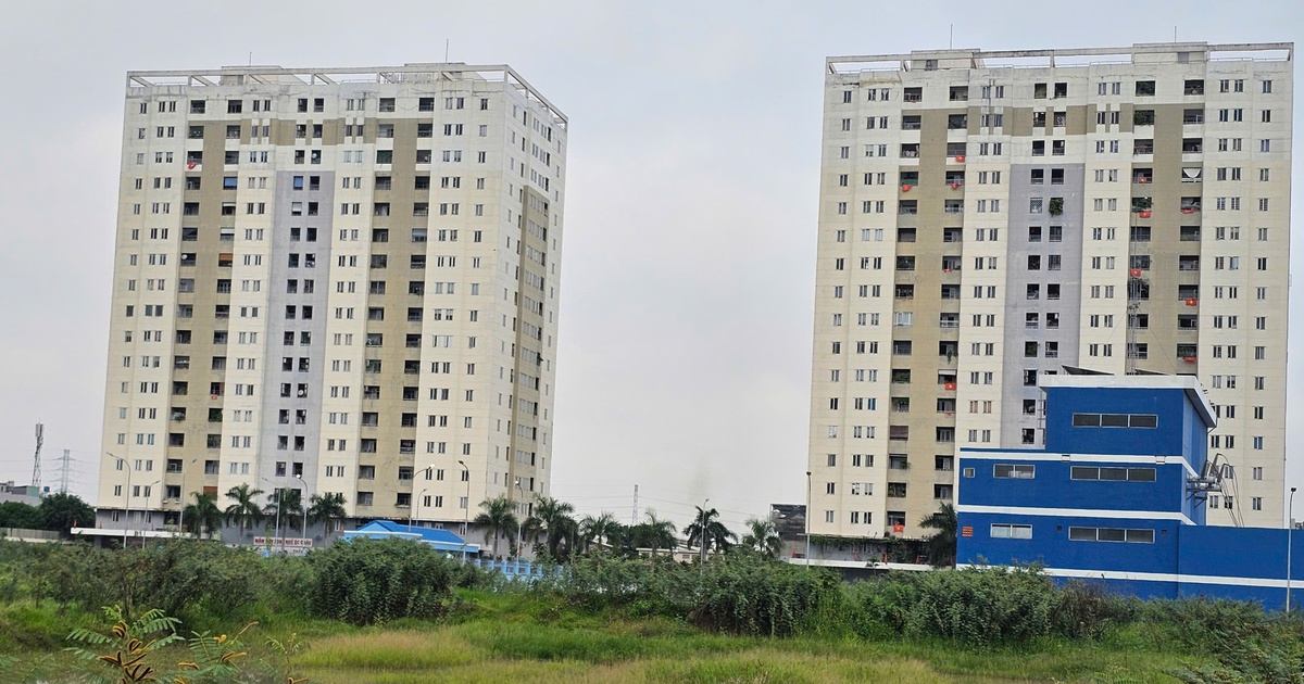 Chung cư Tín Phong 10 năm vẫn chưa cấp sổ hồng: Sở Xây dựng TP.HCM nói gì?