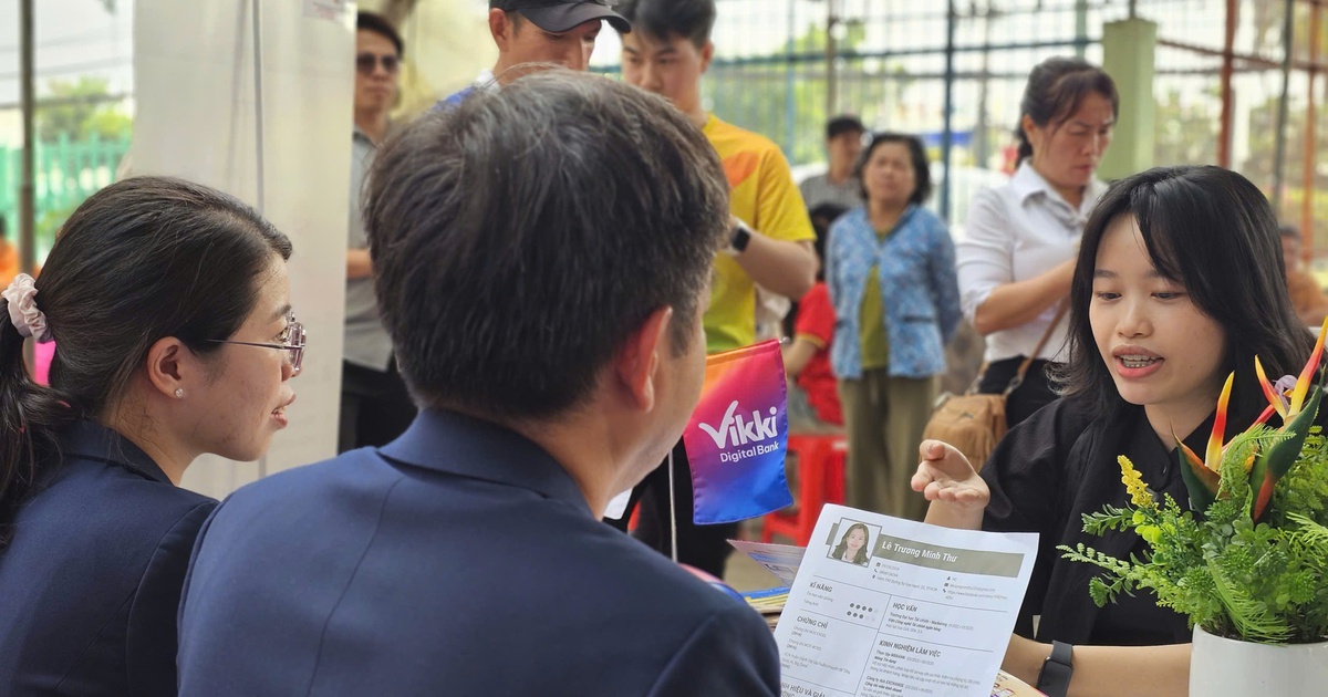 Đi phỏng vấn buổi sáng, trúng tuyển ngân hàng ngay tại ngày hội việc làm TP.HCM