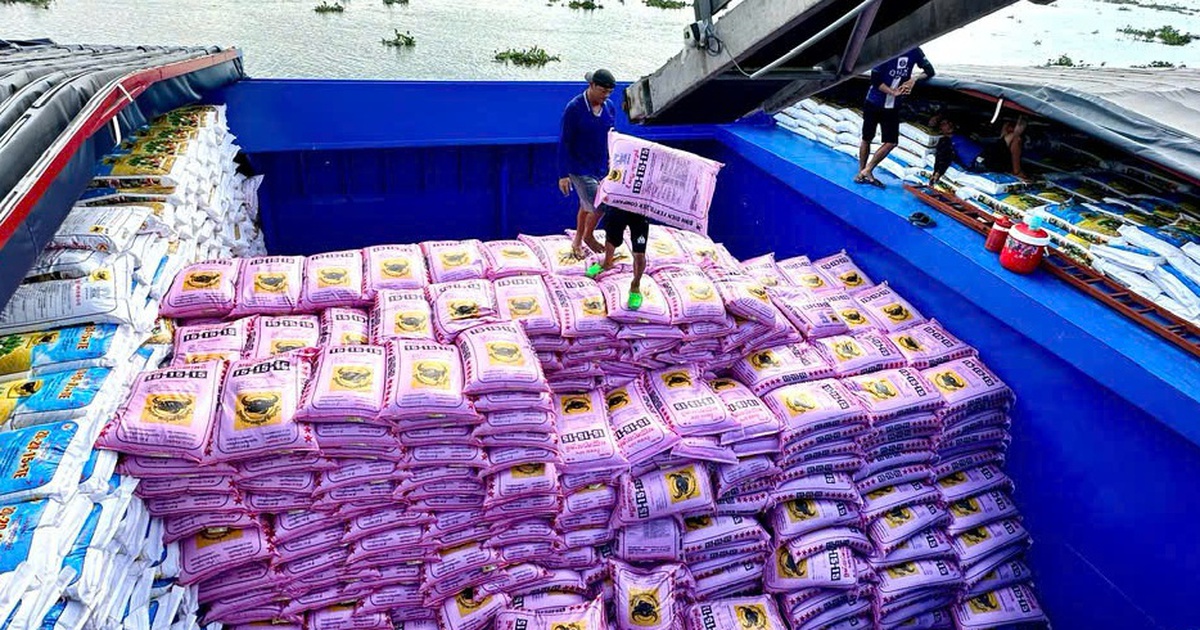 Sầu riêng, cà phê, hồ tiêu trúng giá giúp phân bón hưởng lợi lớn