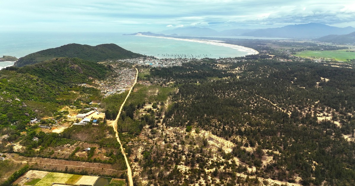 Gia Lai chuyển đổi 55 ha rừng để làm dự án hạ tầng