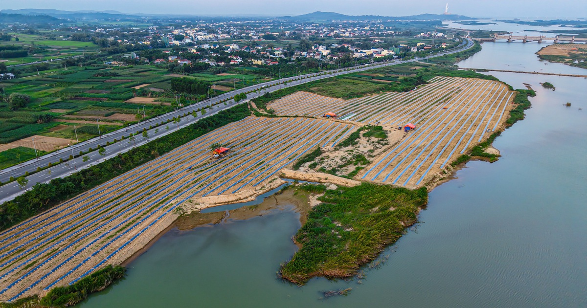 Mưu sinh trên sông Trà: Đời nông dân 'du mục'