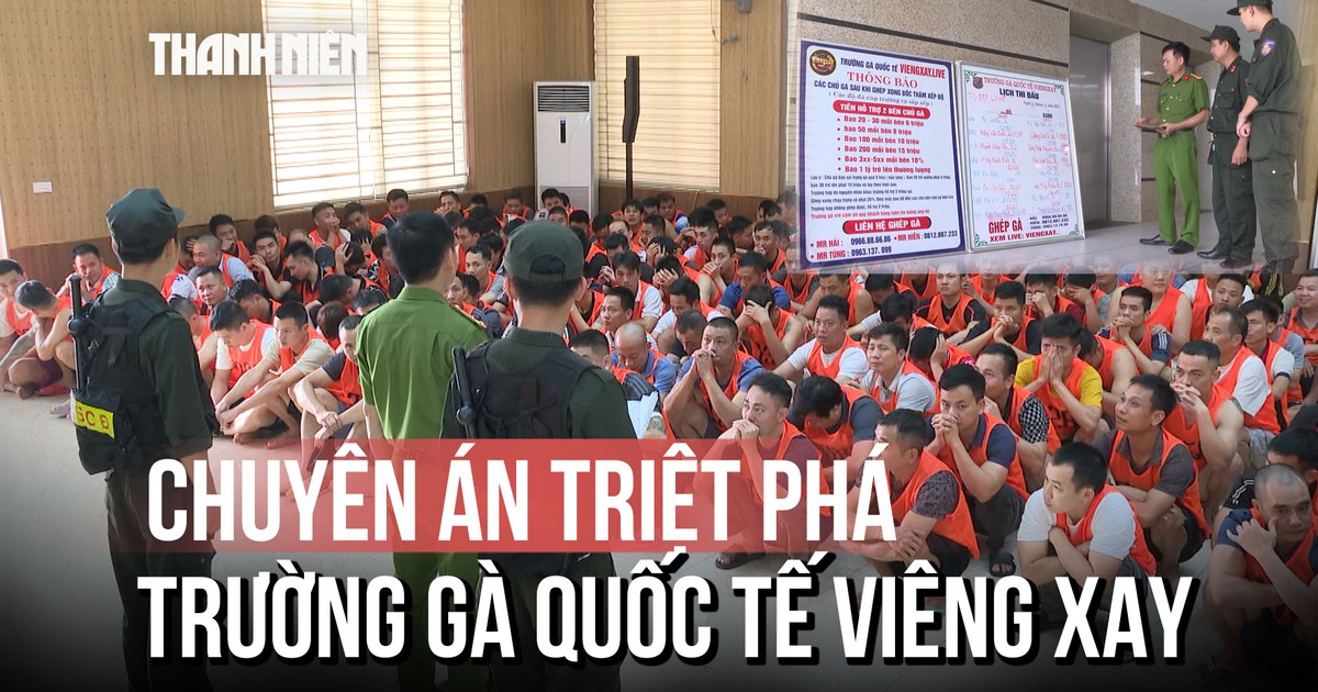 Thành Hóa: Đột kích 'trường gà' xuyên quốc gia