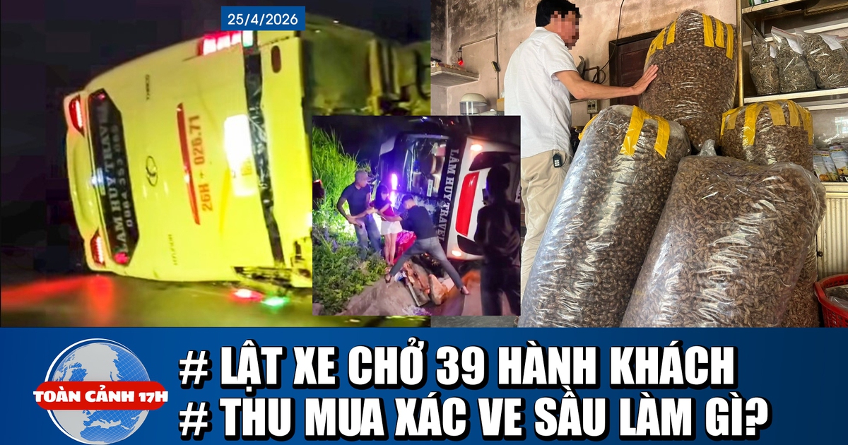 Toàn cảnh 17h: Lật xe chở 39 hành khách ở Lào Cai | Bất thường thu mua xác ve sầu giá cao