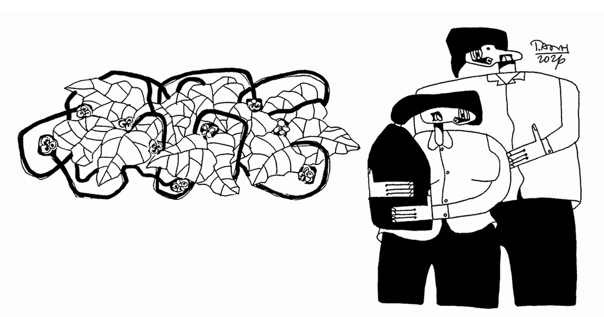 Những mùa dưa trổ bông - Truyện ngắn của Bùi Đế Yên